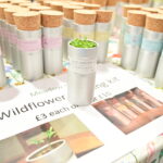 Pots of seeds