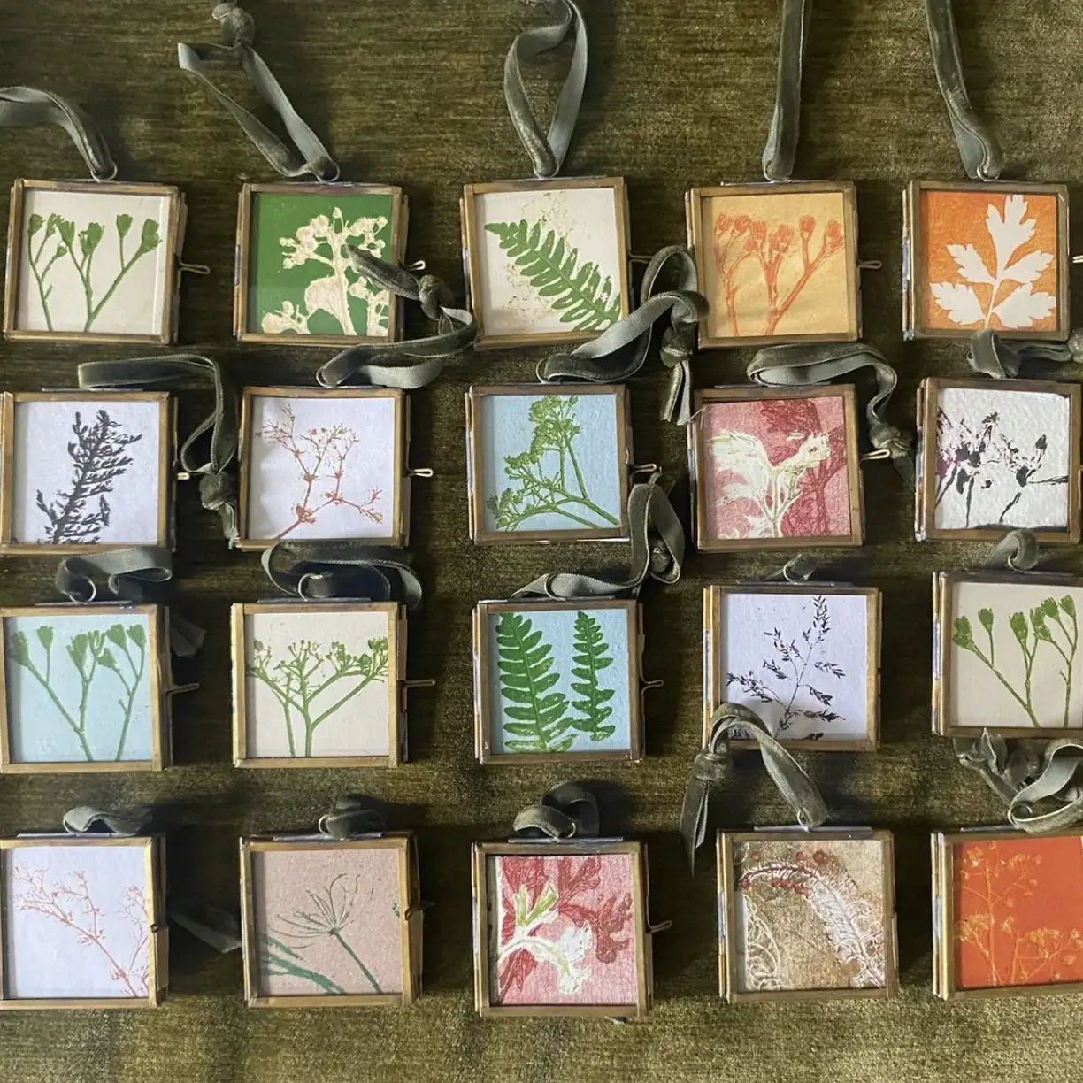 A selection of small prints of plants and flowers