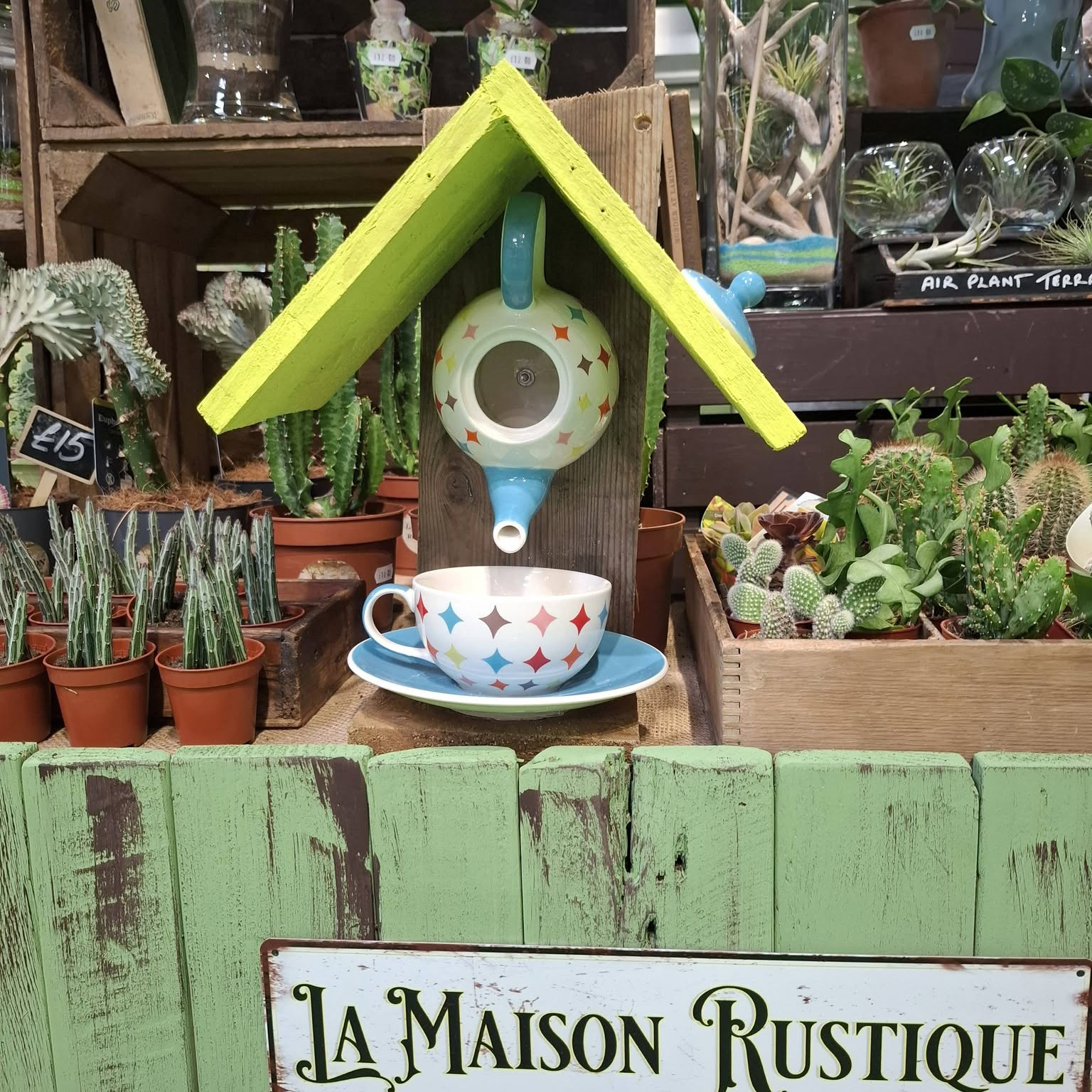 Unique bird feeder